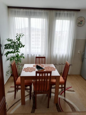 Apartman LENA